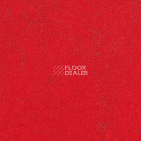Линолеум Forbo Marmoleum Decibel on Order 374335 red glow фото 1 | FLOORDEALER